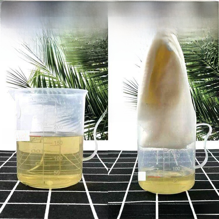 Disposable Thickened Wood Pulp - Home Barber 리뷰 및 가격